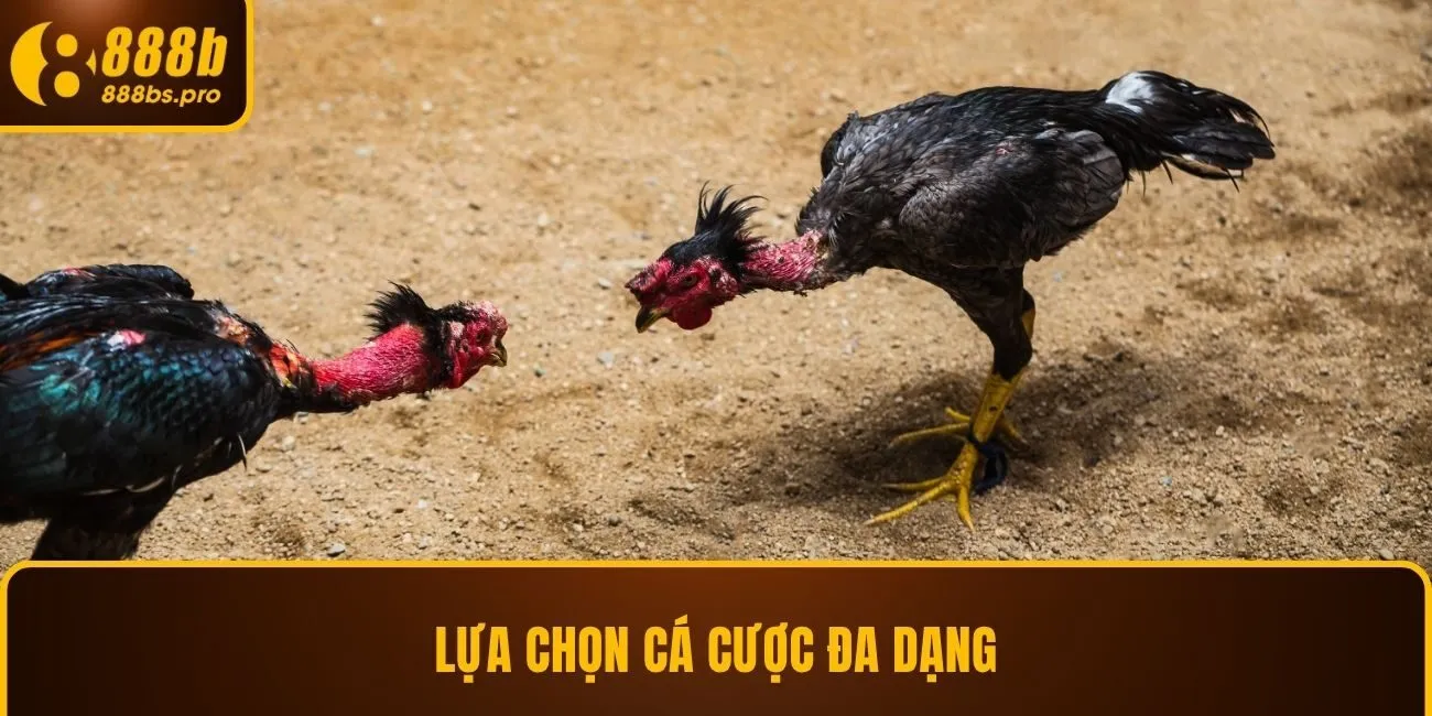 Lựa chọn cá cược đa dạng