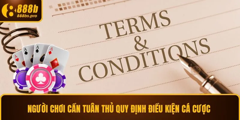 Người chơi cần tuân thủ quy định điều kiện cá cược