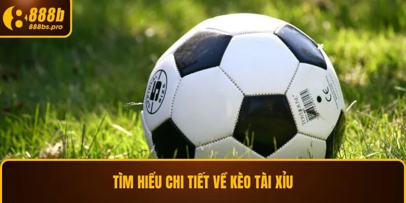 Tìm hiểu chi tiết về kèo tài xỉu
